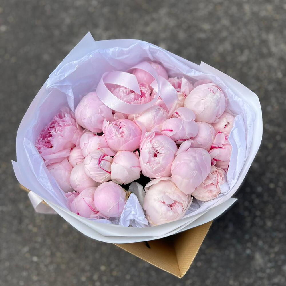 25 розовых пионов