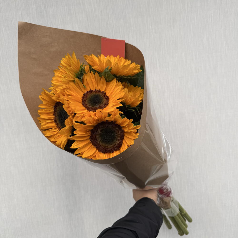Подсолнух 🌻