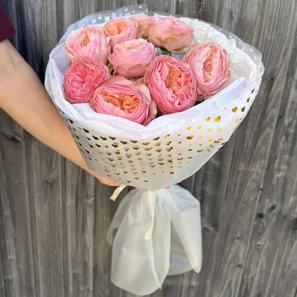 Пиончики🌸😍