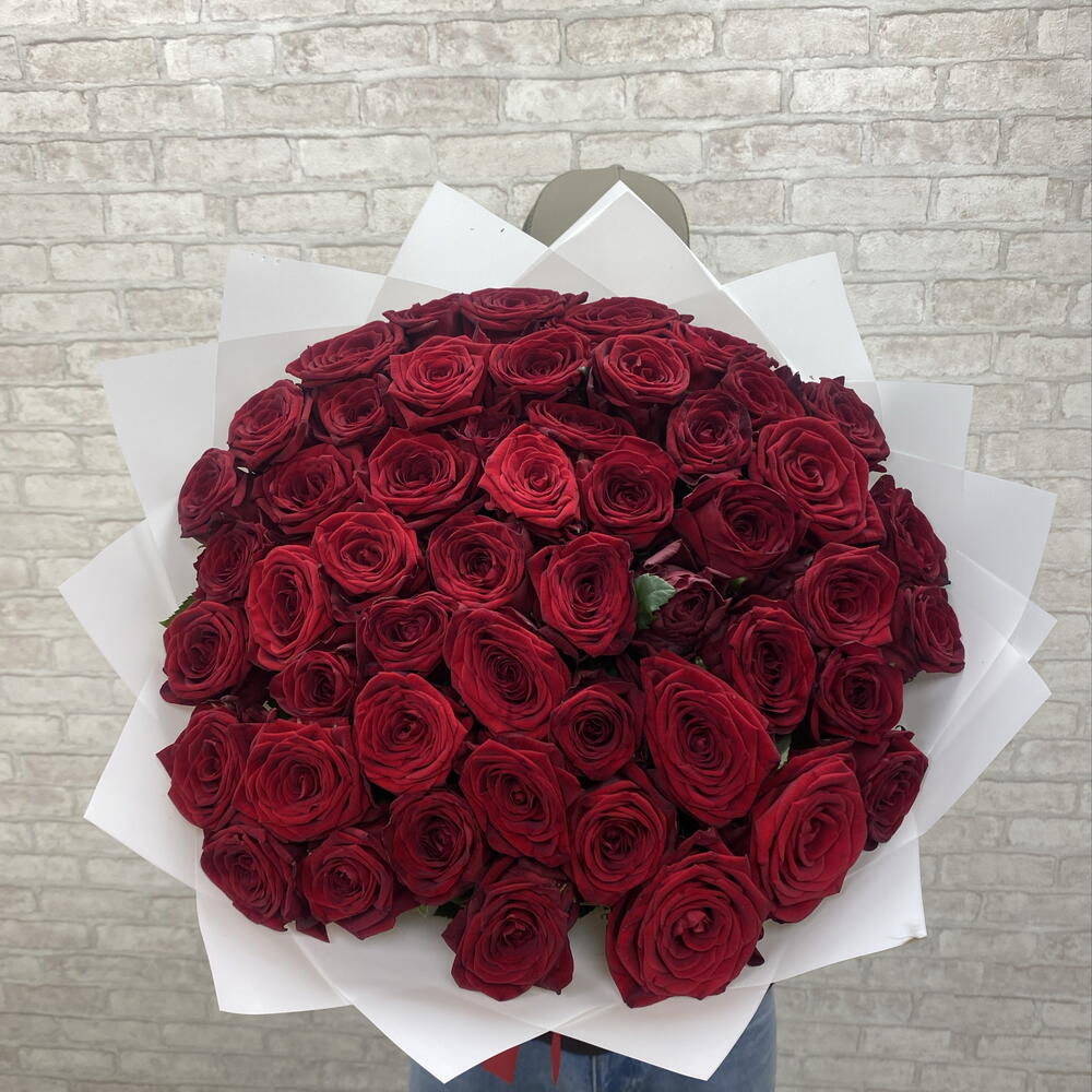 Роза красная🌹🌹🌹