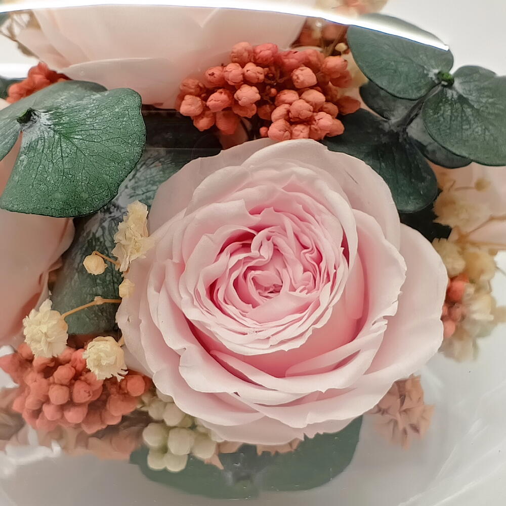 Натуральные пионы в стекле, вакуум (RF2.7000)