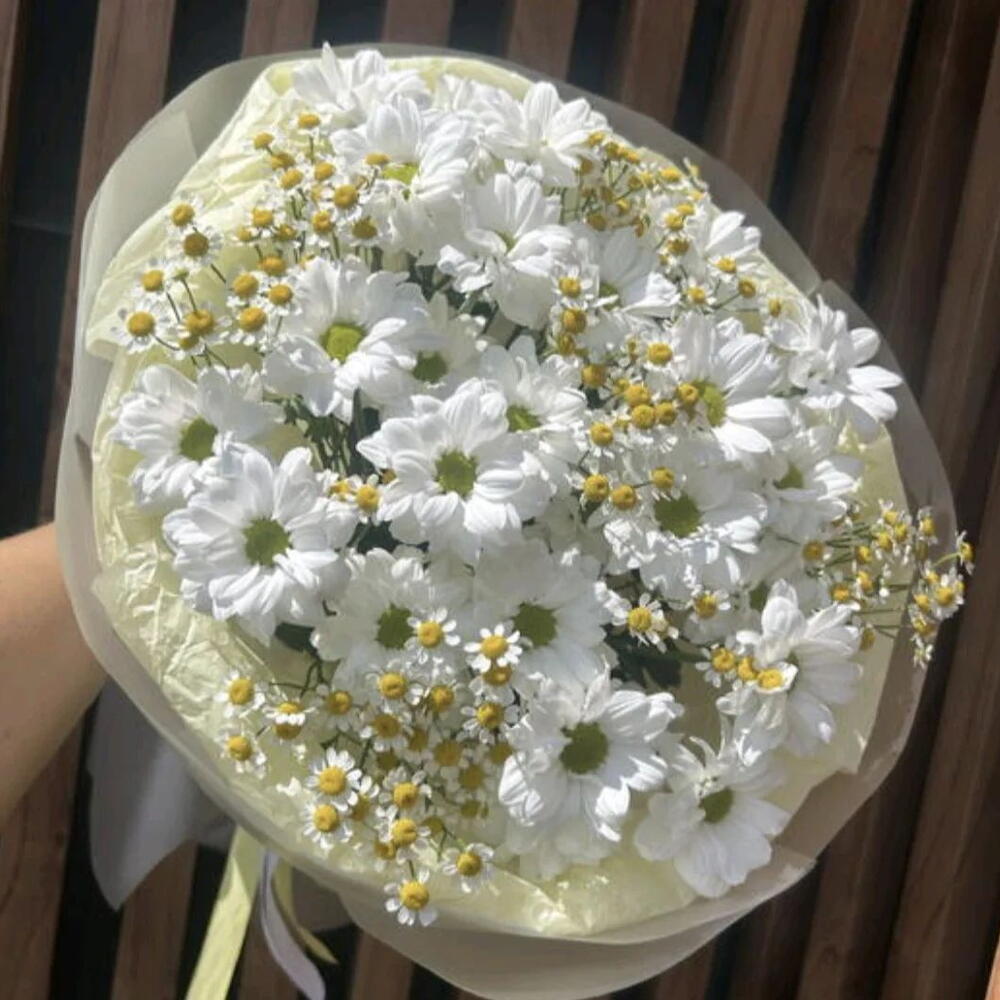 Ромашковое поле
