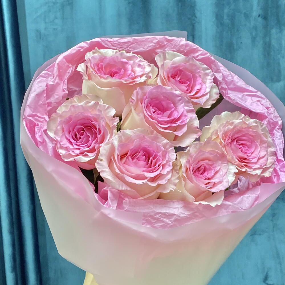 Розовые розы🌸