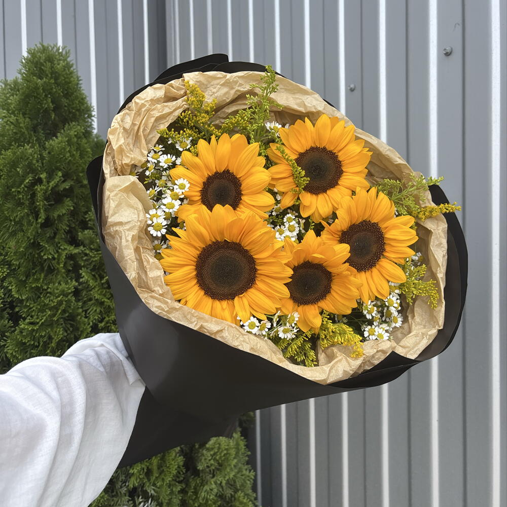 Подсолнух и матрикария