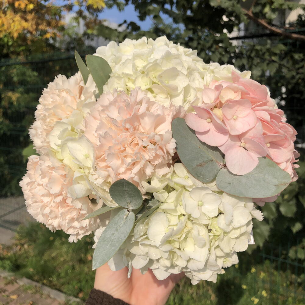 🌸Облачко в коробочке Bloom room