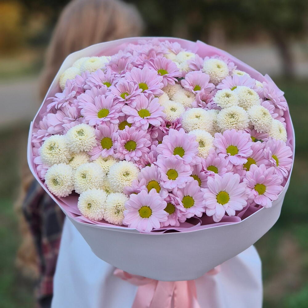 Ромашки