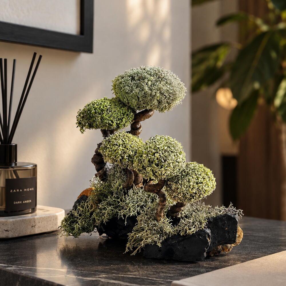«SAN» — indoor Cetraria tree