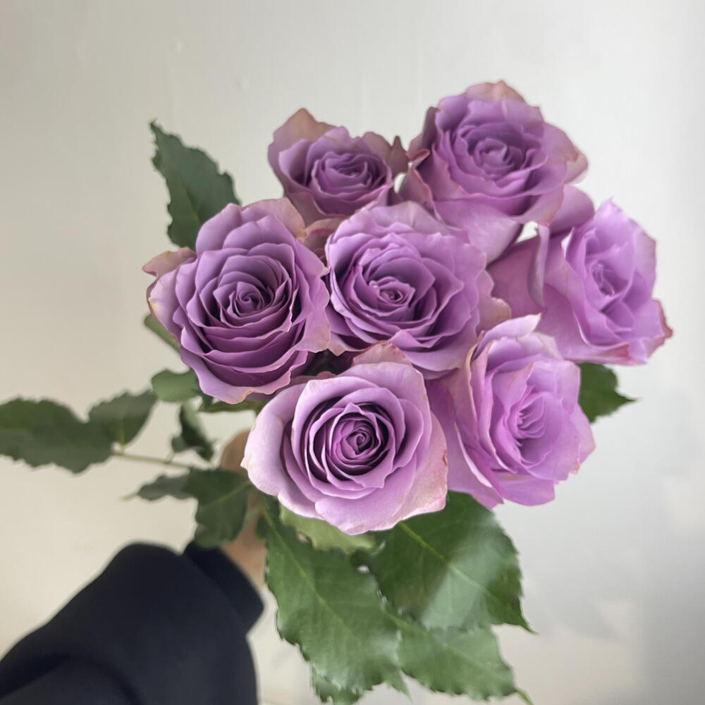Букет роз фиолетовых 💜7