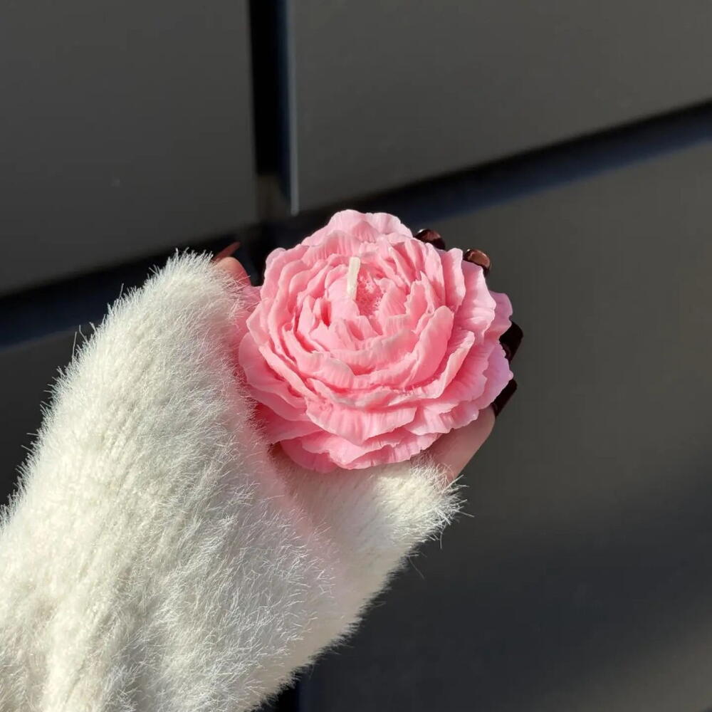 Сфеча пион🌸