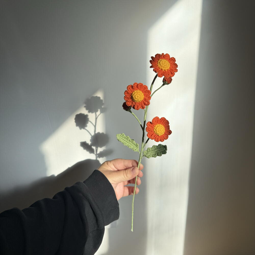Ромашка оранжевая🧡