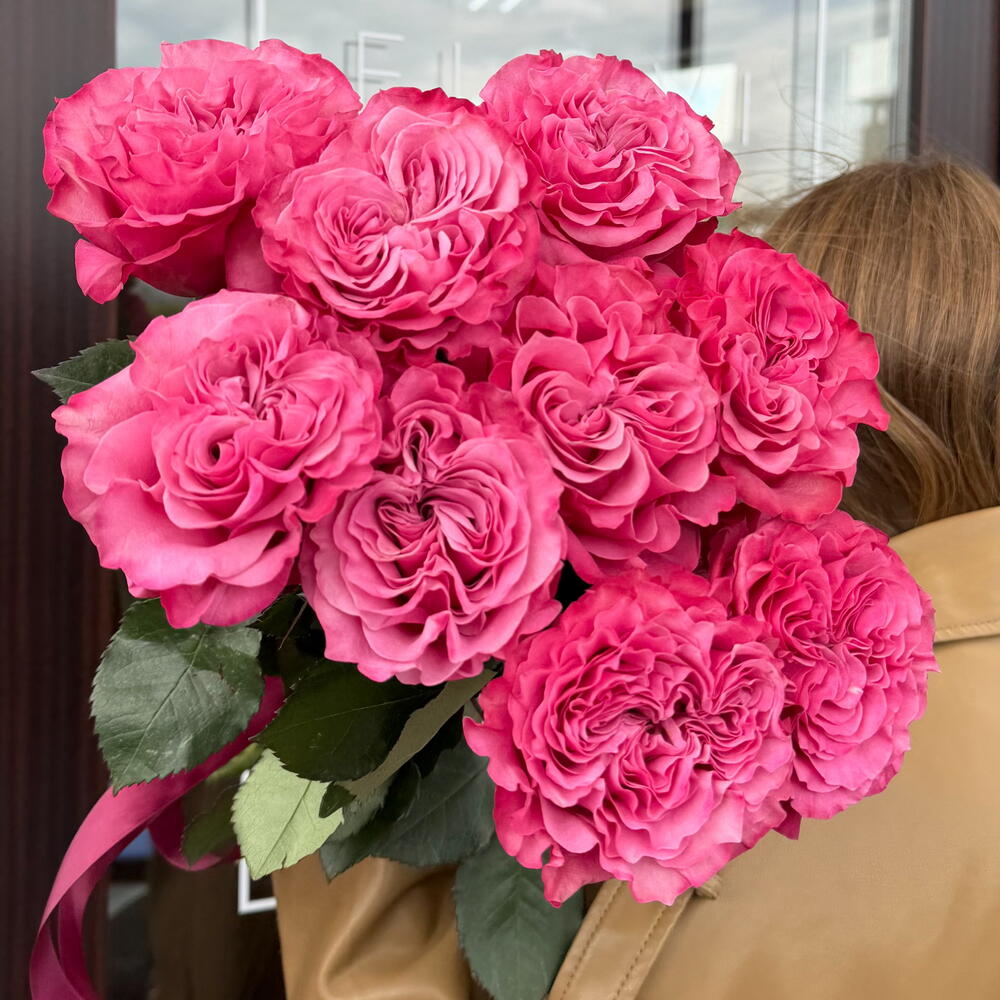 Пионовидные садовые розы Кантри блюз