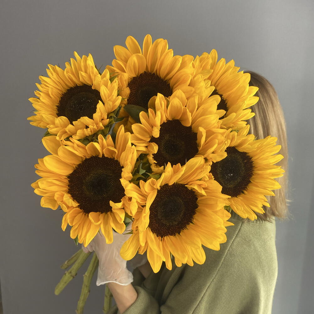 Монобукет солнечный 🌻 яркие подсолнухи 🌻🌻🌻 7 шт