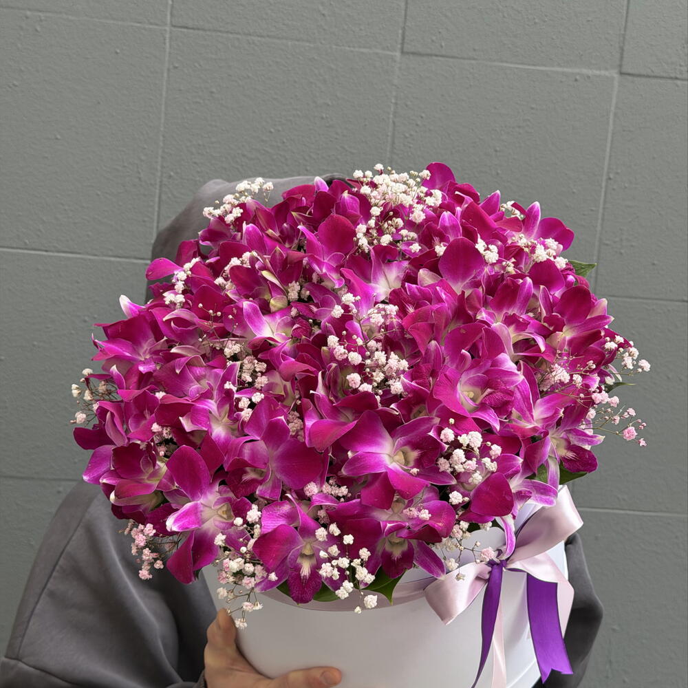Фиалетовый дендробиум с гипсофилой в большой коробке 💐