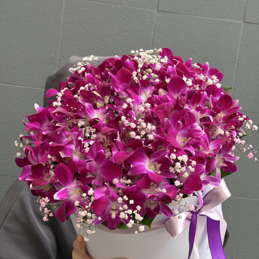 Фиалетовый дендробиум с гипсофилой в большой коробке 💐