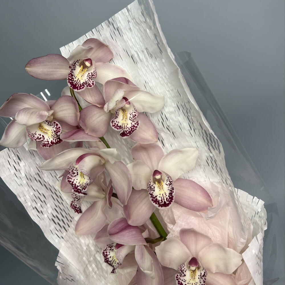 Любящее сердце