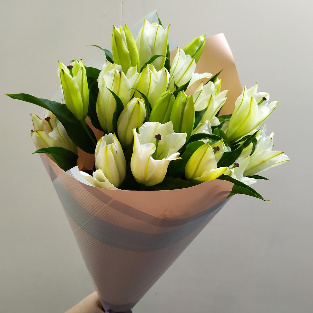 Lily ( 11 pcs )