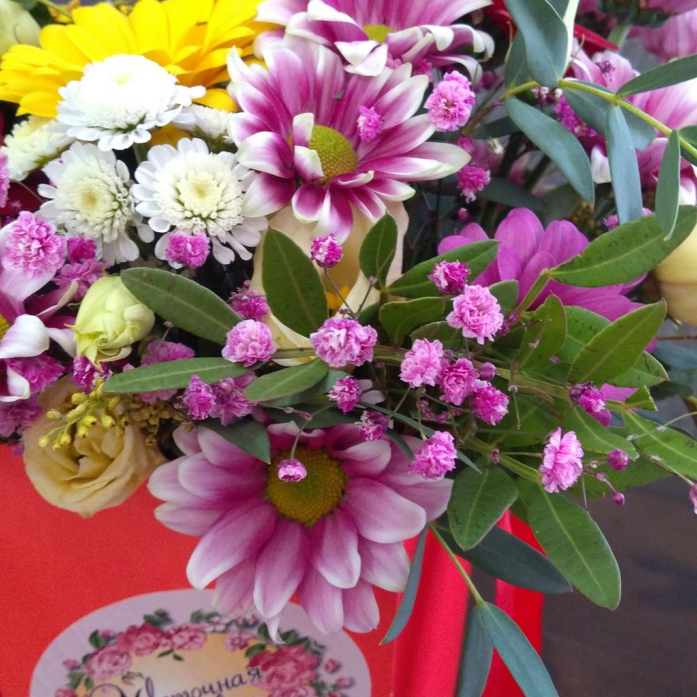 Яркие краски