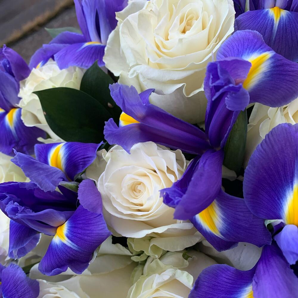 Caja de sombreros con rosas blancas e iris"Delight"