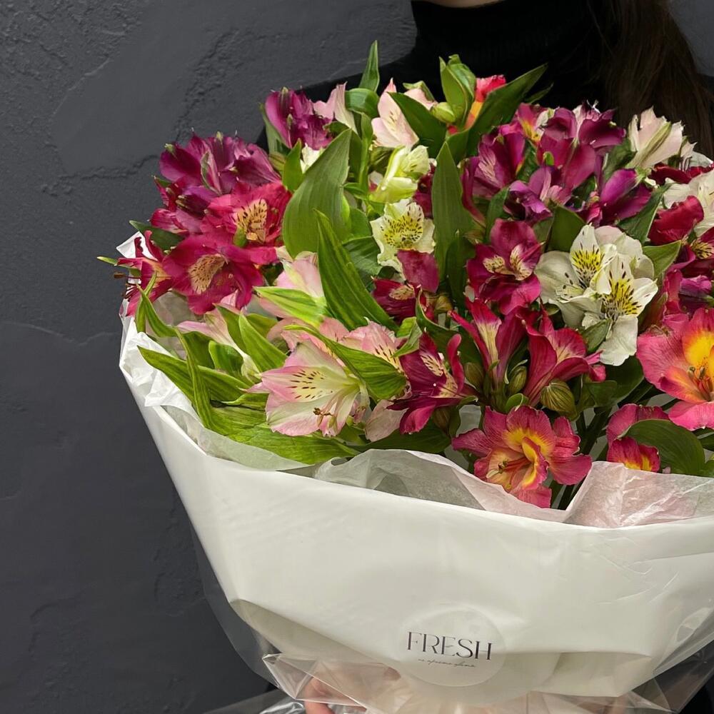 Alstroemeria