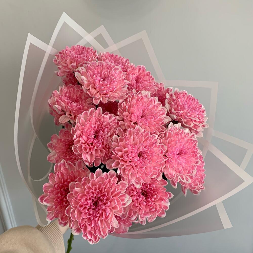 Малиновый букет 💕 кустовая хризантема