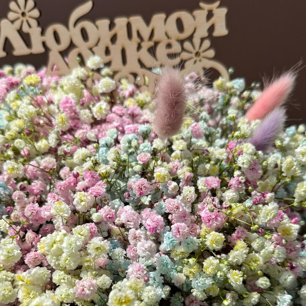 Гипсофила в коробке цветная