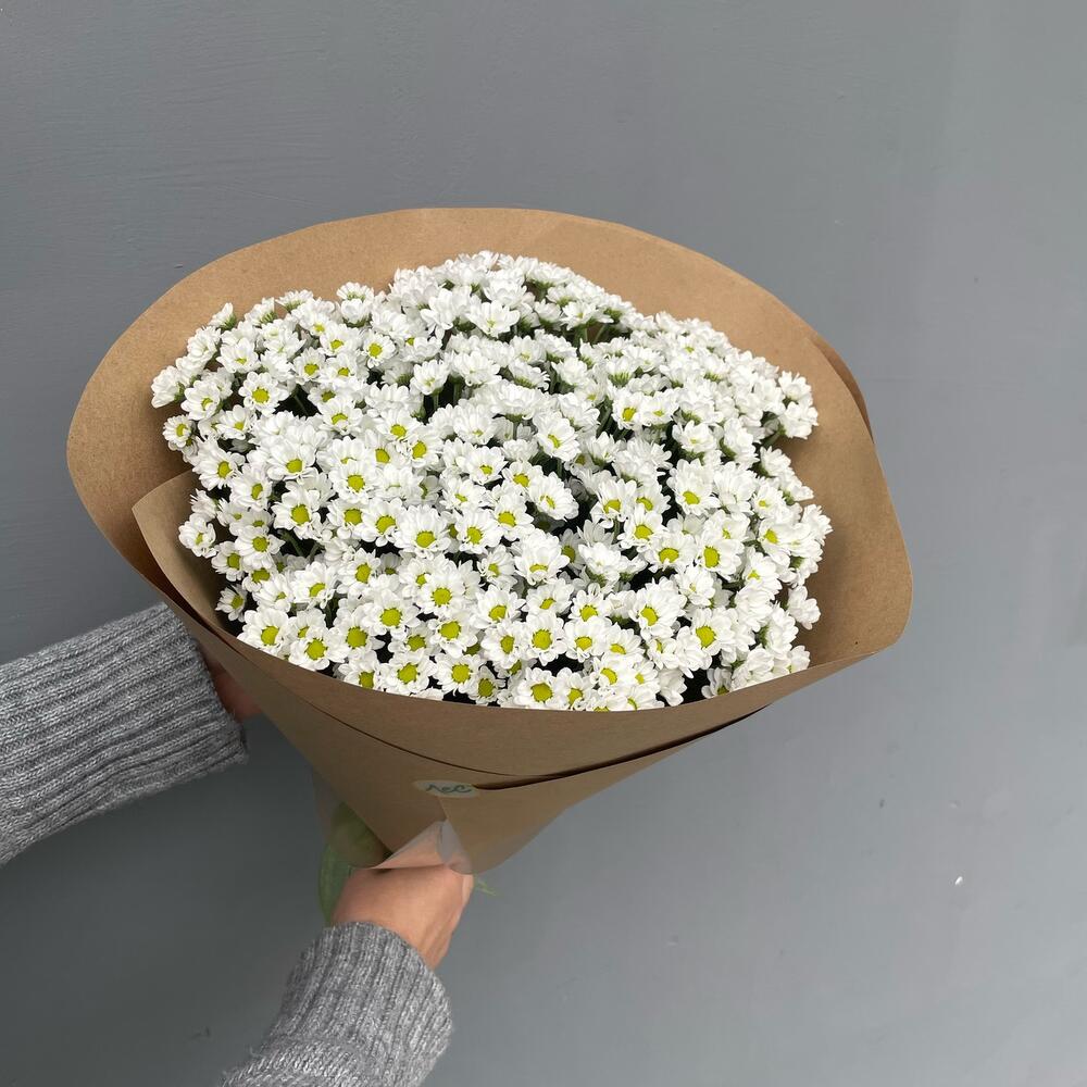 Ромашки ( сантини ) 11 шт в крафте