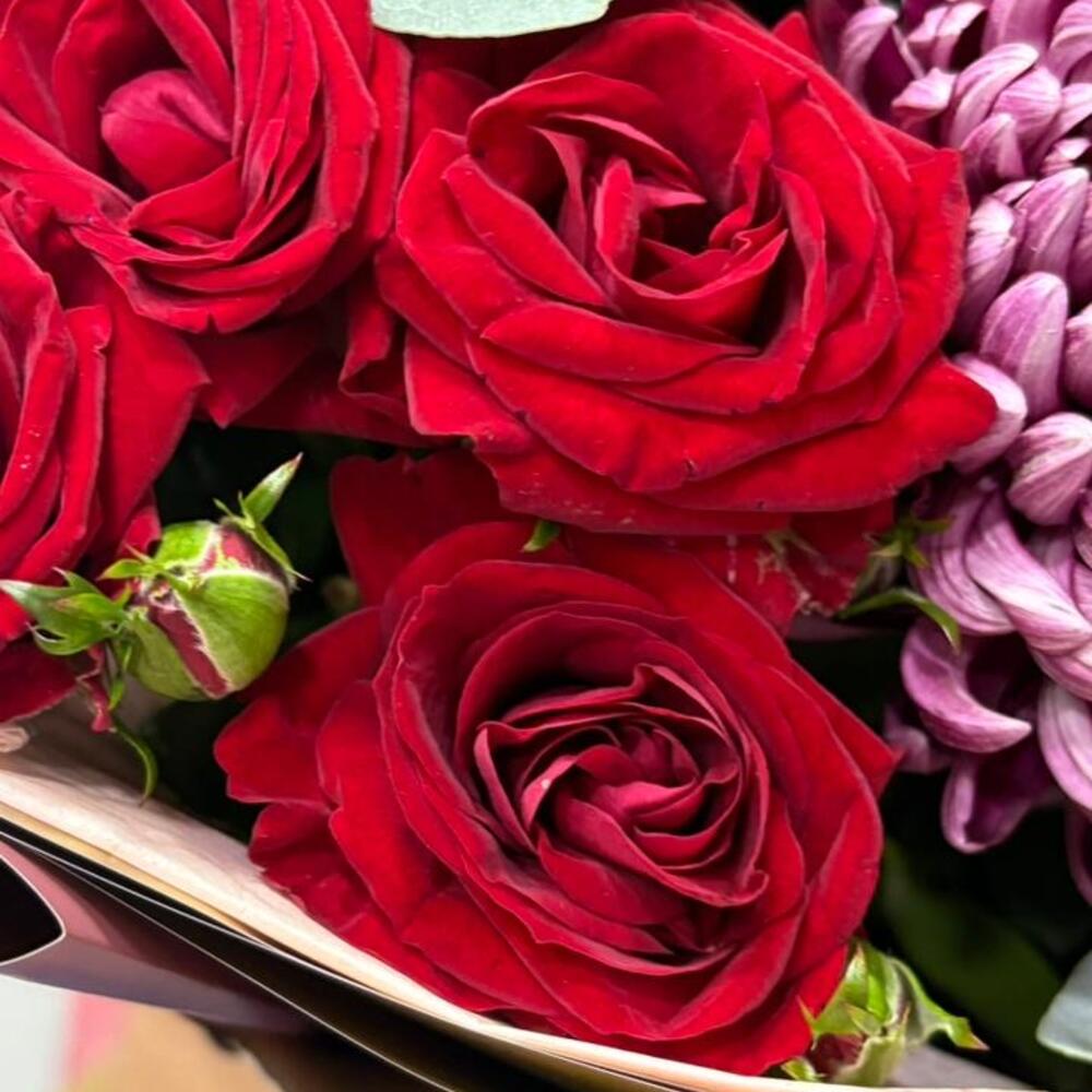 🌹Red