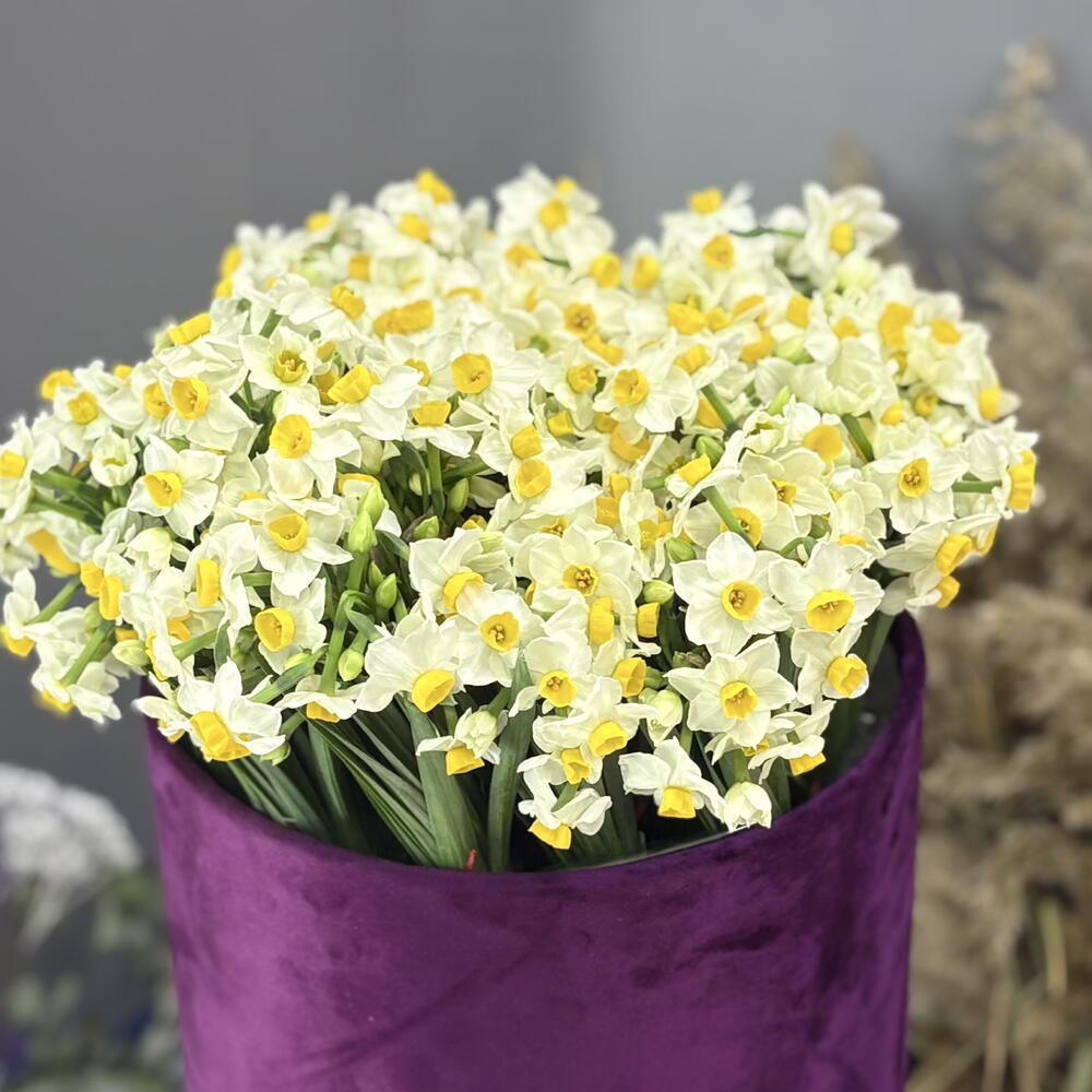Нарцисс