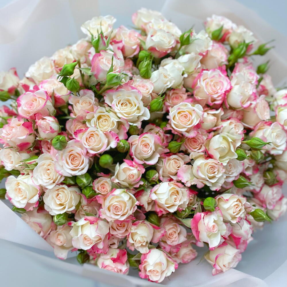 101 sweet roses 💖
