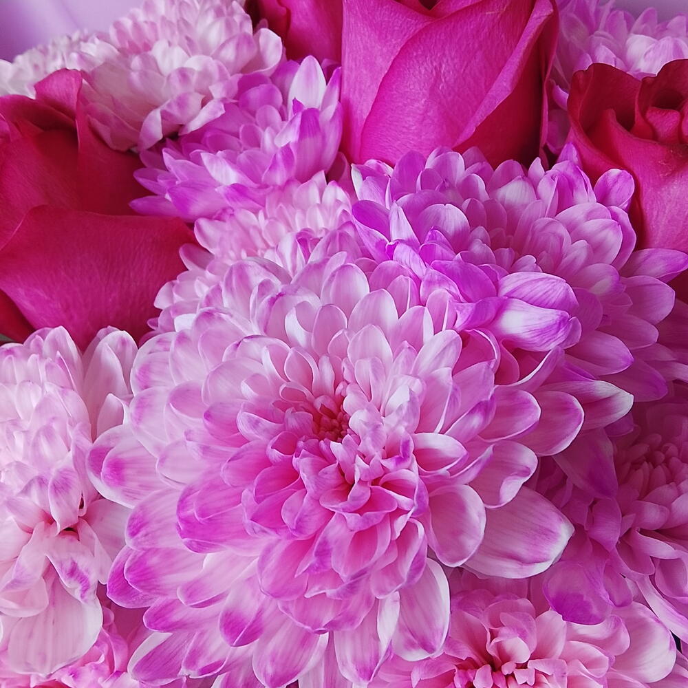 💗розы алые с хризантемой