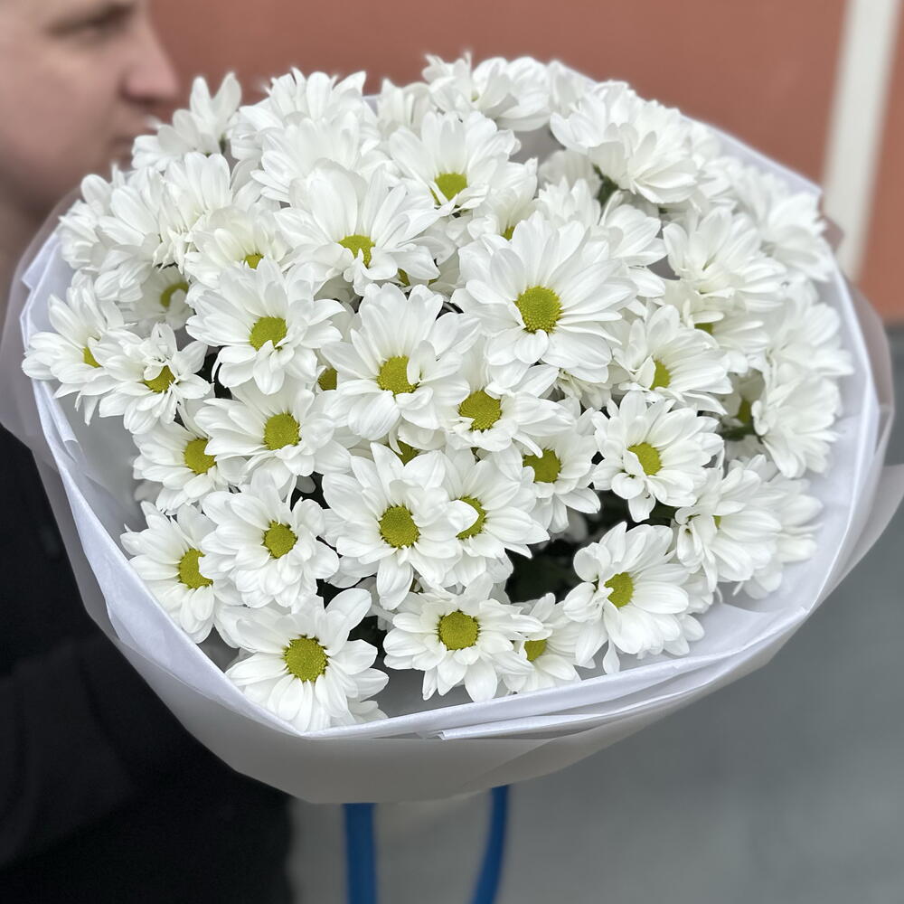Ромашка 9