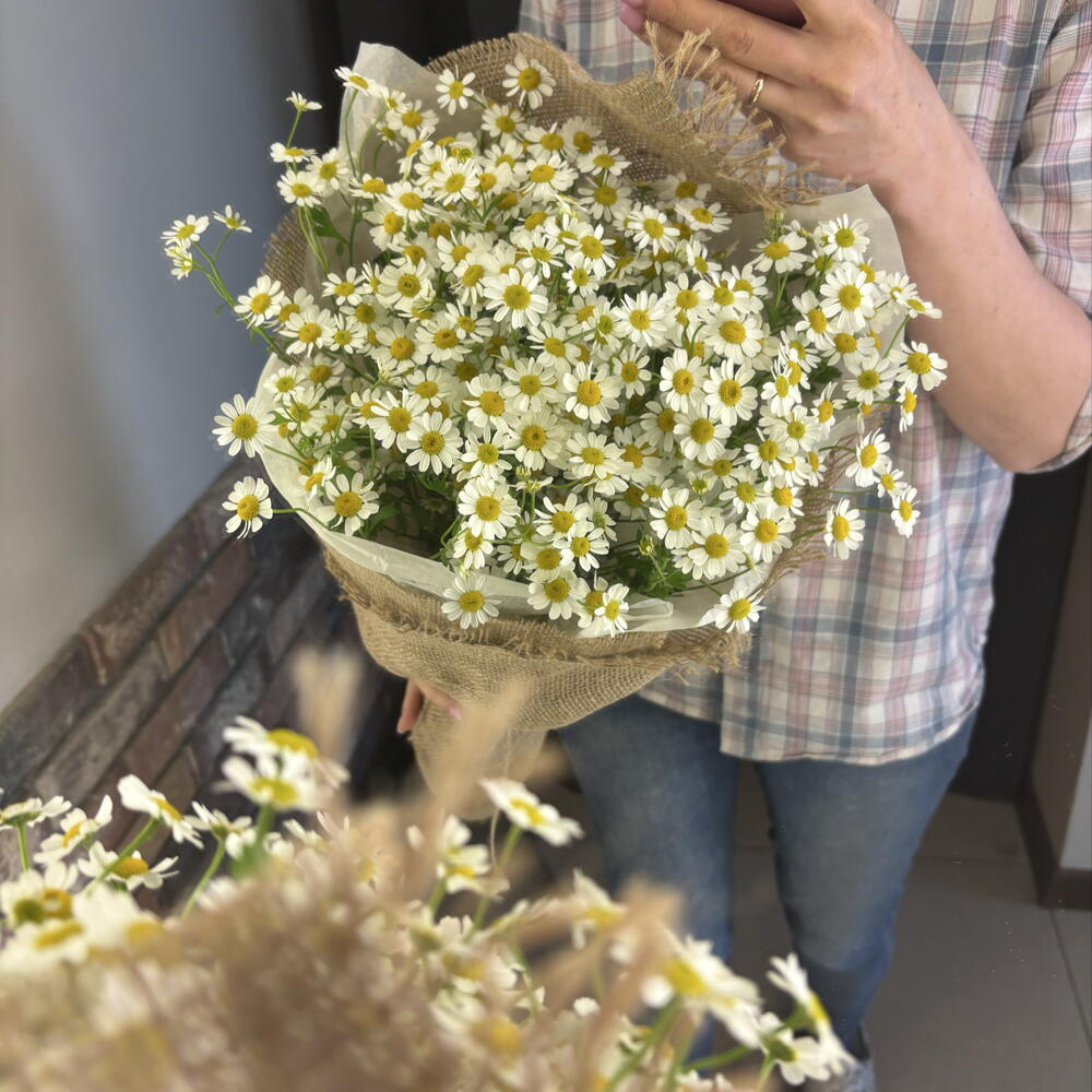 Букет ромашек