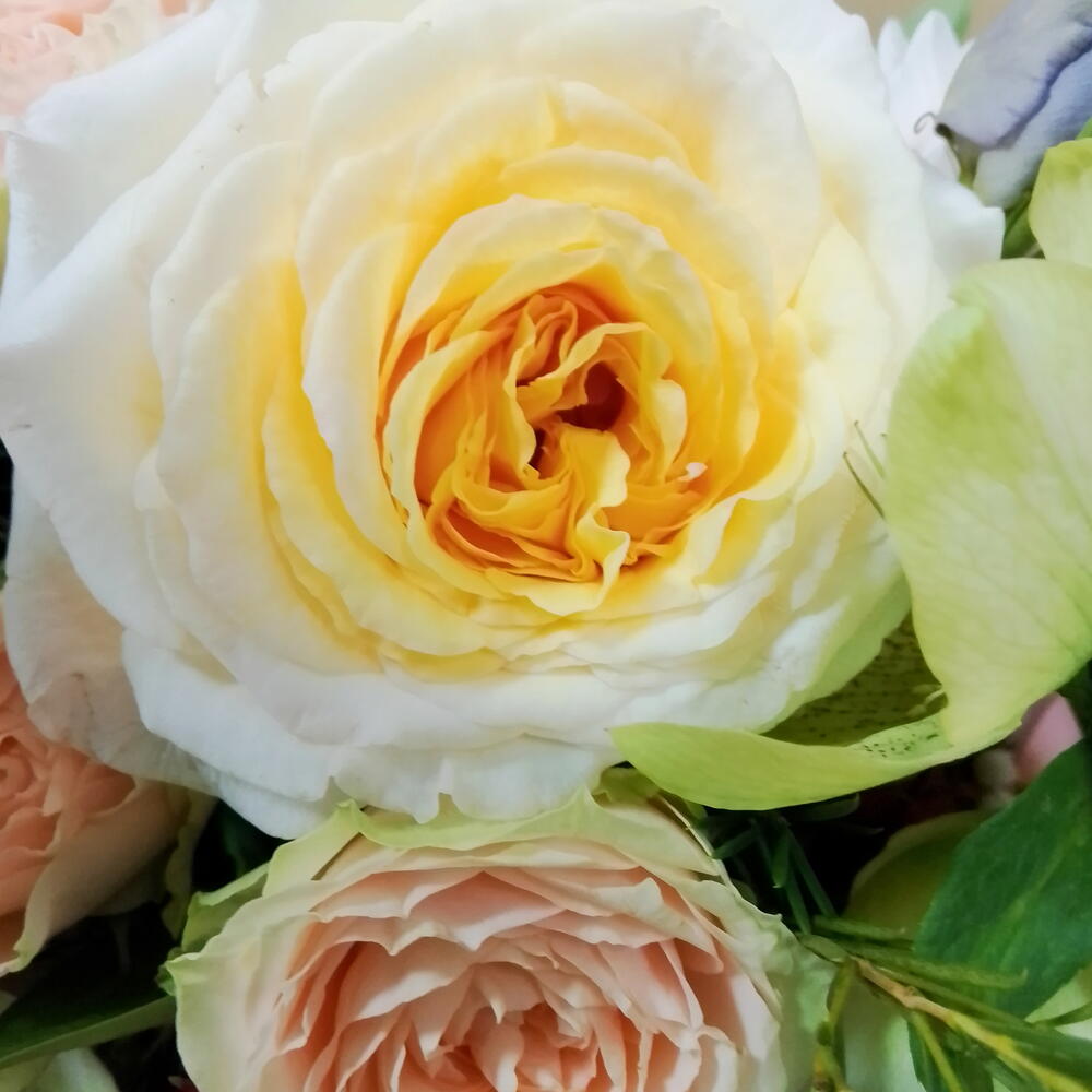 Композиция из хризантемы и розы😍🌸