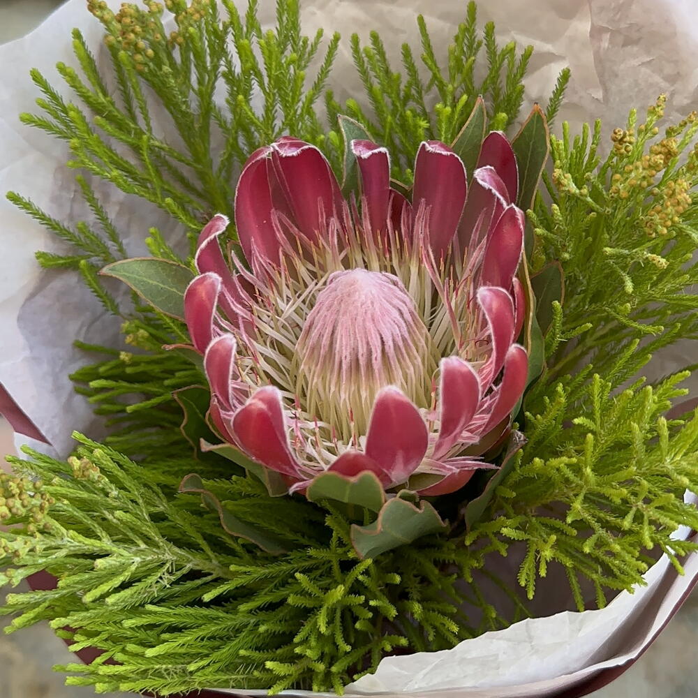 Bouquet 176