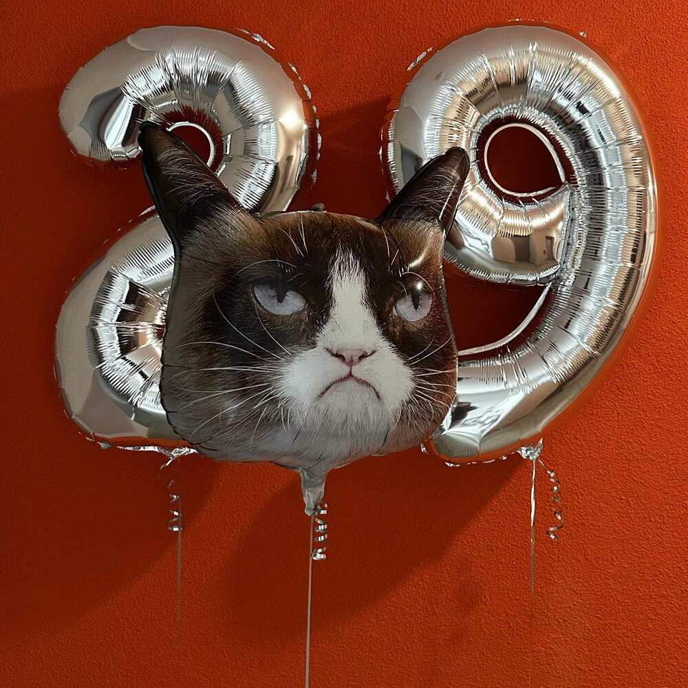 Сет цифры и кот