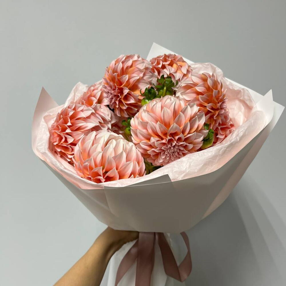 Персиковые георгины (9)