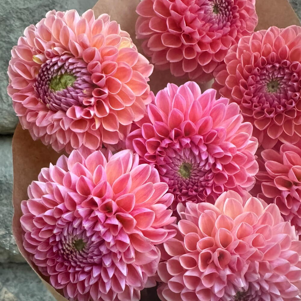 Bouquet 216
