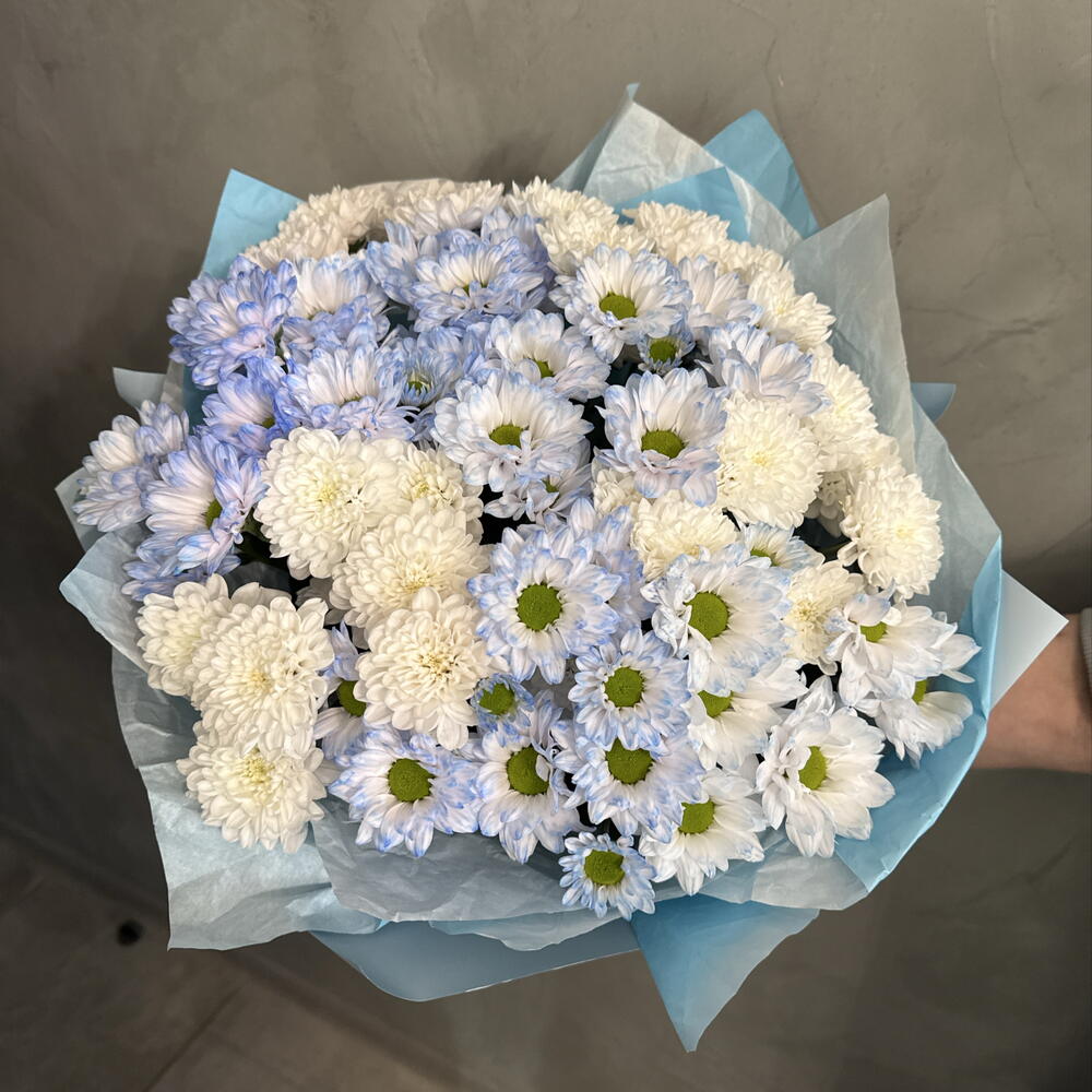 Поле голубых ромашек