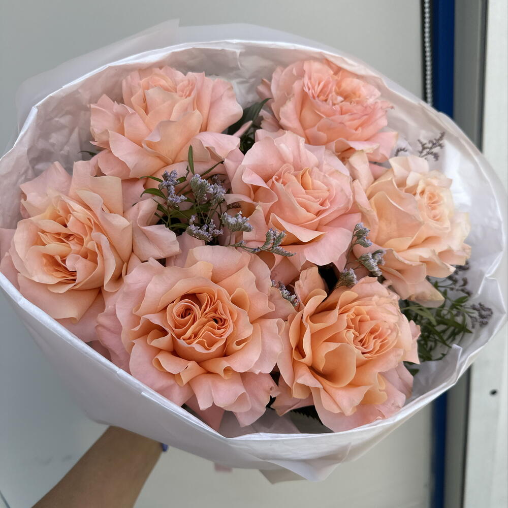 Розы 🌹