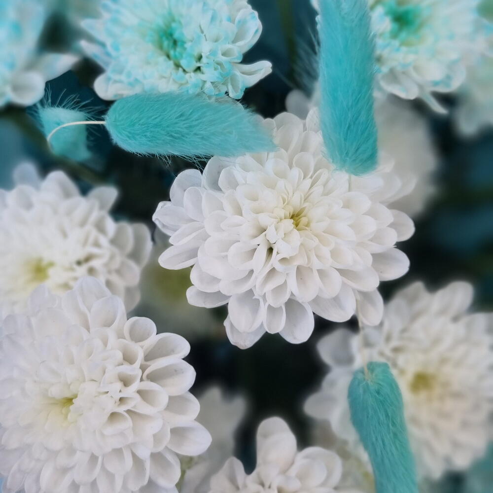 Северное сияние