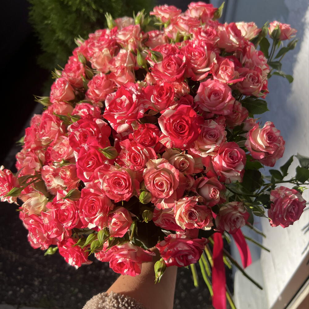 Моно из 21 кустовой розы 🌹