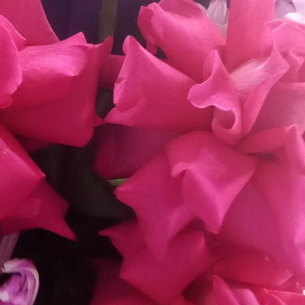 Букет 💐