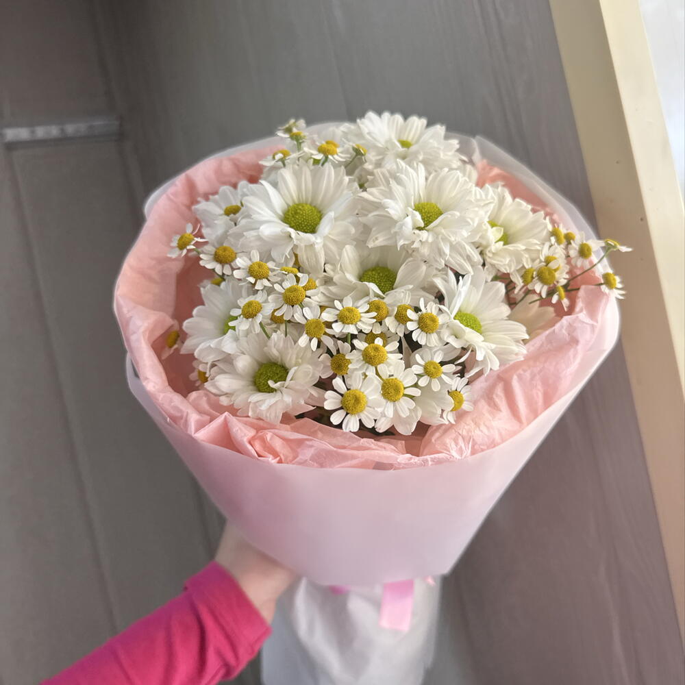 🎀с ромашками