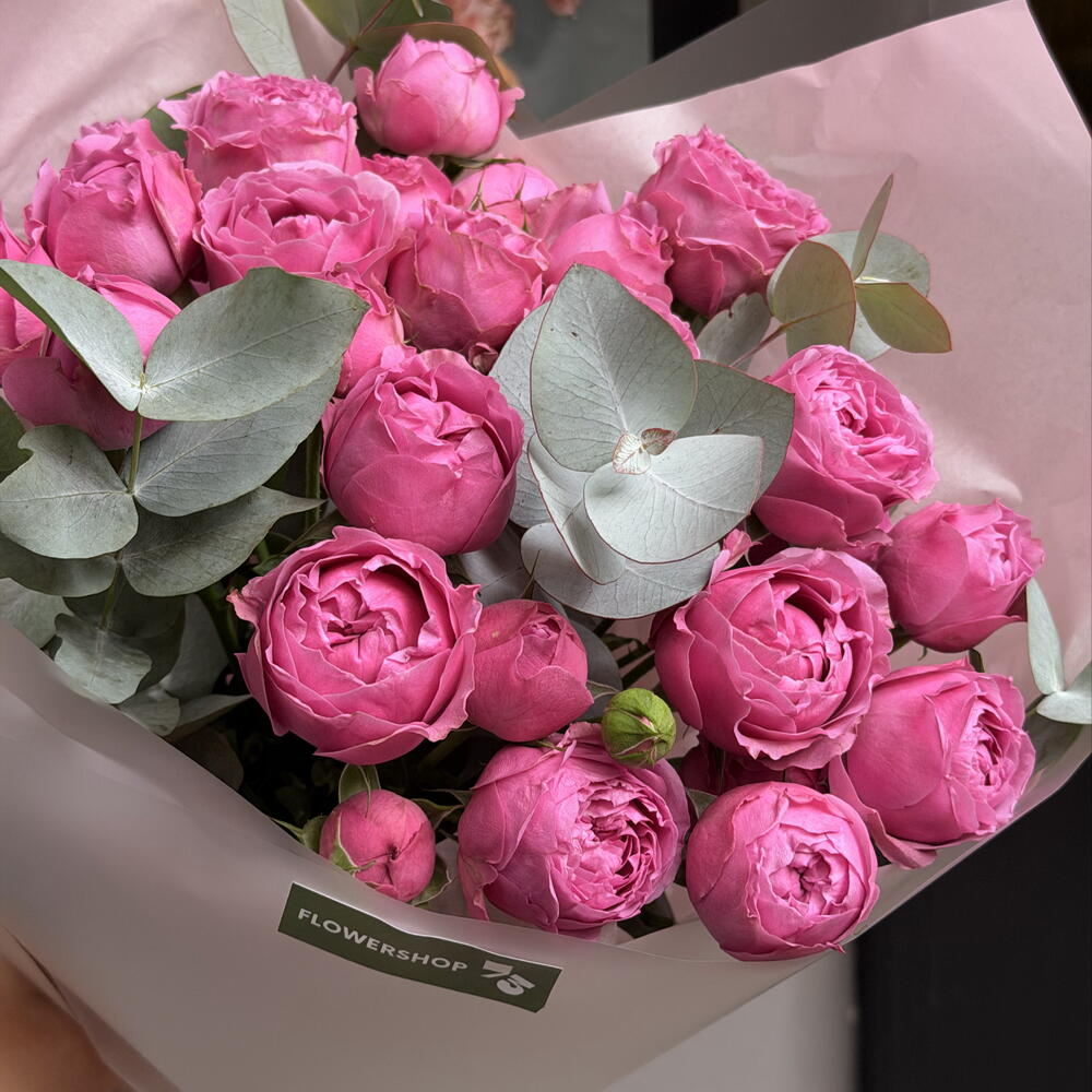 Misty Bubble roses