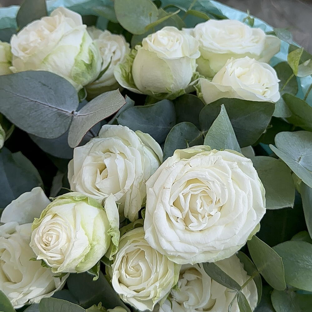 Bouquet 242