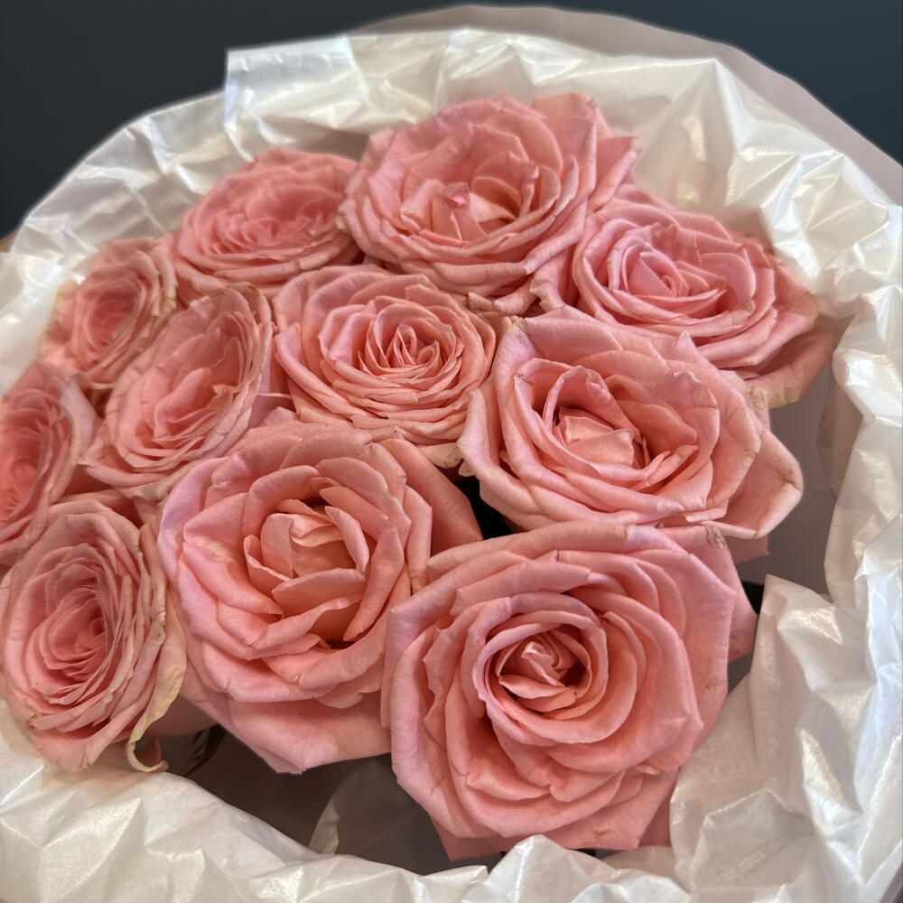 Монобукет из розовых роз 🌸 нежный букет 💐 Роза Софи Лорен