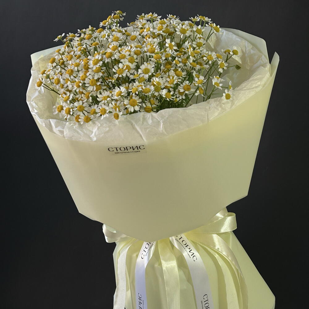 Мини ромашки