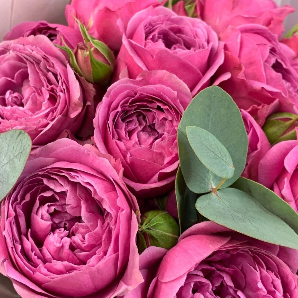 Пионовидные розы 🌹