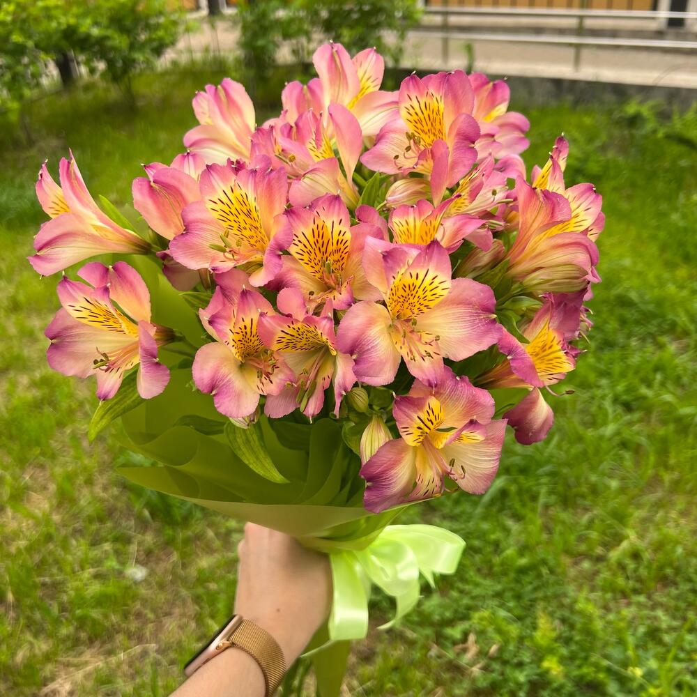 Букет альстромерия