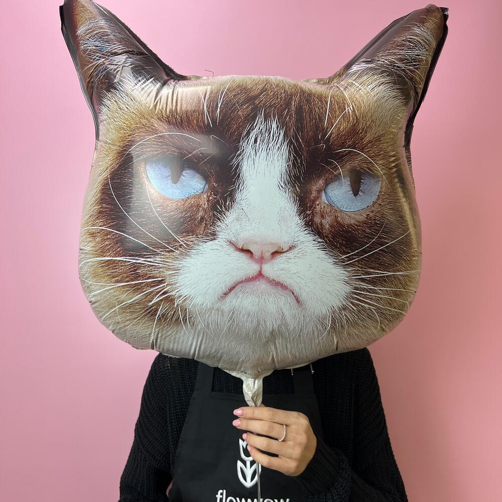 Кошечка сердитая